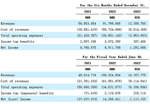 重銷售輕研發，致?？萍几懊繧PO成長性迎考，單一業務依賴風險凸顯